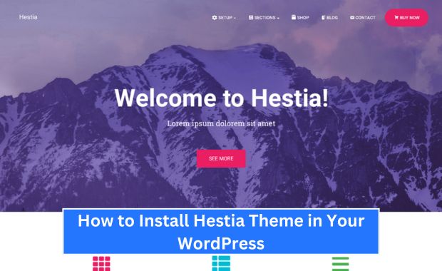 How to Install Hestia Theme in Your WordPress Image