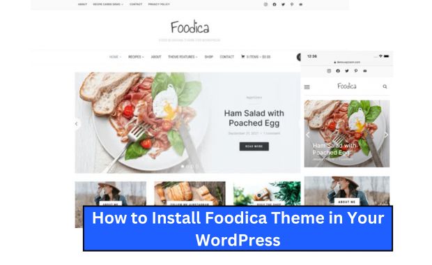 How to Install Foodica Theme in Your WordPress Image