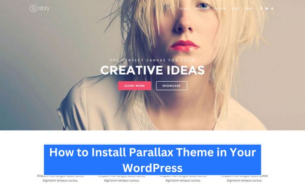How to Install Parallax Theme in Your WordPress Image