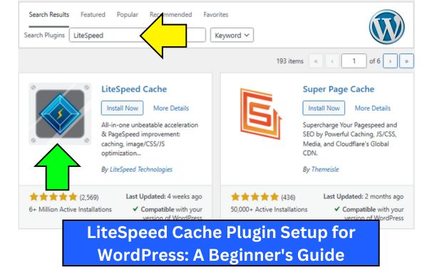 LiteSpeed Cache Plugin Setup for WordPress: A Beginner's Guide (2025) Image